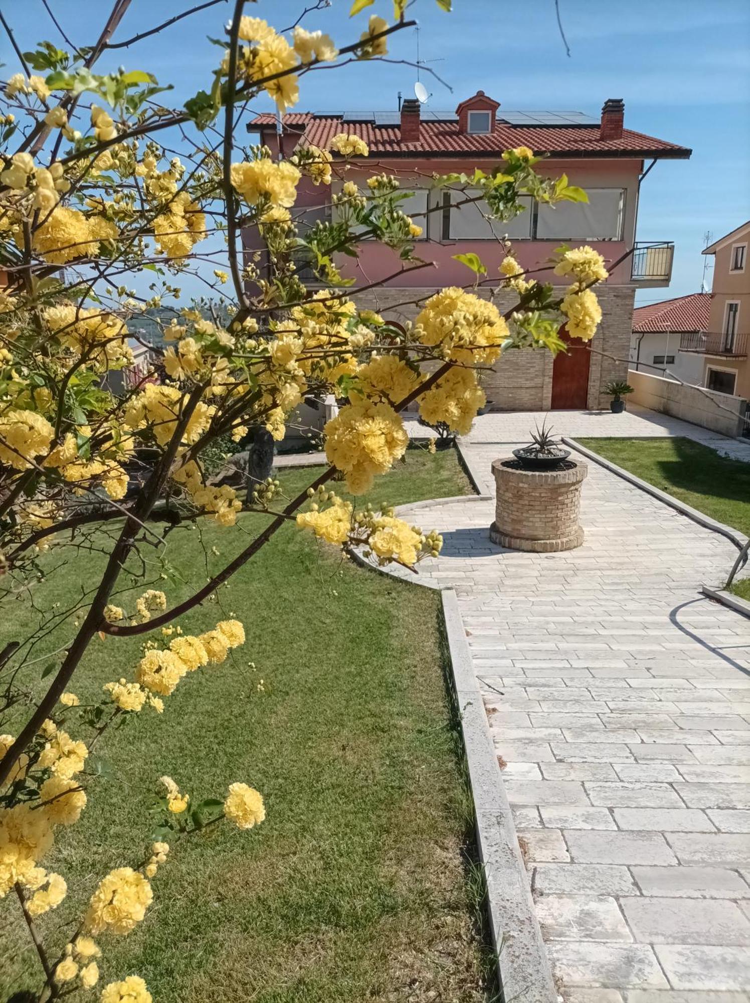 Villa Istonia Cupello Luaran gambar