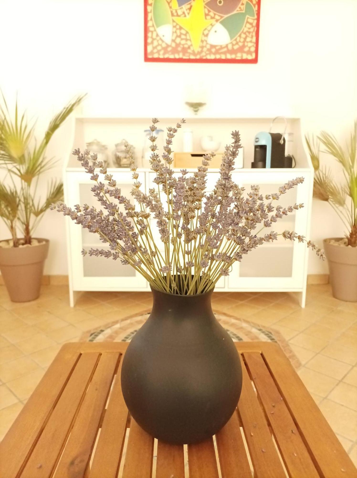 Villa Istonia Cupello Luaran gambar